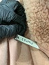 Z Supply 100% Polyester Tan Sweatshirt Size M - photo 7
