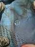 Lululemon Athletica Blue Active Pants Size 2 - photo 4