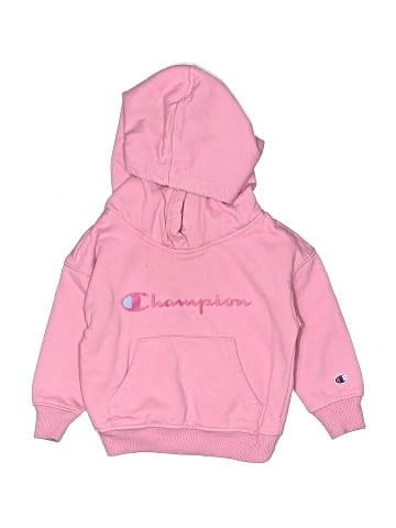 Champion Sweatshirt (view 1)