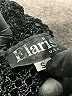 Elaris Black Long Sleeve Top Size S - photo 6