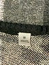 T Tahari Animal Print Brown Pullover Sweater Size M - photo 6