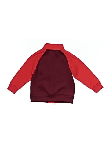 Burberry Zip Up Hoodie (view 2)