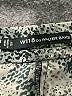 W118 by Walter Baker 100% Polyester Paisley Silver Casual Pants Size XS - photo 7