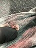 Grey State Gray Casual Dress Size XS - photo 9