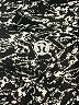 Lululemon Athletica Black Active Pants Size 4 - photo 4