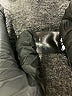 Torrid Black Casual Pants Size 1X Plus (1) - photo 5