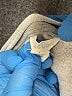 Caslon Gray Sweatshirt Size L - photo 7
