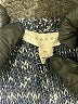 Soft Joie Marled Blue Gray Pullover Sweater Size S - photo 7