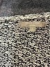 Joan Vass Silver Cardigan Size L - photo 7