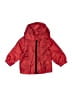 Healthtex 100% Polyester Red Windbreaker 9-12 MO / 12 MO - photo 1
