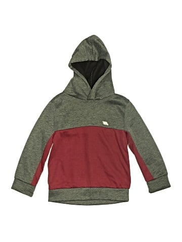 Tony Hawk Pullover Hoodie (view 1)
