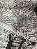 Athleta Gray Casual Skirt Size XXS - photo 4