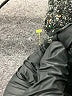 Express Gray Turtleneck Sweater Size XS - photo 9