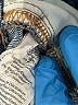 Madewell Blue Jeans Size 23 waist - photo 6