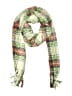 Aerie Plaid Green White Scarf One size - photo 1