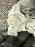ALIX Gray Bodysuit Size S - photo 5