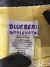 Blueberi Boulevard Yellow Dress 18-24 MO / 24 MO - photo 3