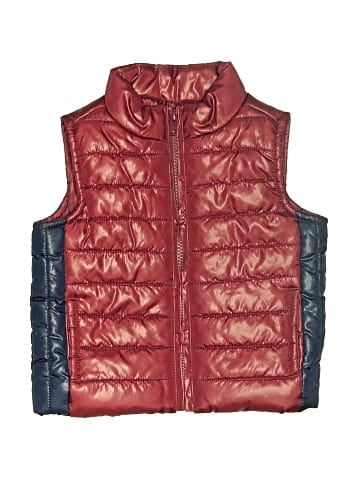 Gymboree Vest (view 1)