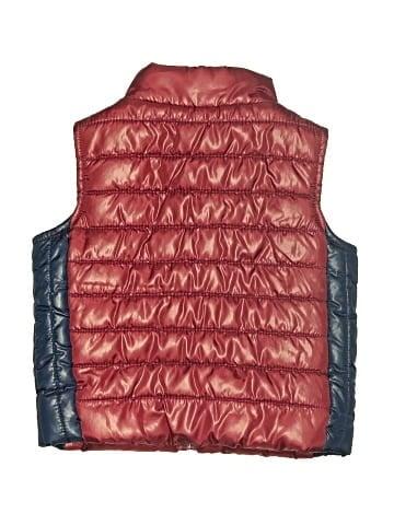 Gymboree Vest (view 2)