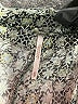 Free People Tweed Gray Green Jumpsuit Size XS - photo 4