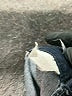 Bandolino Blu Blue Jeggings Size 10 - photo 8