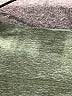 Scorpio Sol Gray Active Pants Size S - photo 5
