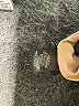 Ann Taylor Color Block Black Formal Skirt Size 14 - photo 4