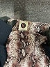 Assorted Brands Print Silver Faux Leather Skirt Size M - photo 4