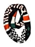 Ampersand Black Scarf One size (youth) - photo 1