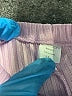 Grayson Mini Pink Casual Pants 12-18 MO / 18 MO - photo 3