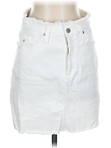 Adriano Goldschmied Denim Skirt (view 1)