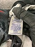 Asics Black Pullover Sweater Size S (kids) - photo 4