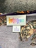 Lularoe Purple 3/4 Sleeve Blouse Size L - photo 7