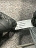 Lamaze 100% Cotton Solid Gray Sweatpants 9-12 MO / 12 MO - photo 4