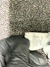 Willow Animal Print Silver Casual Dress Size S - photo 8