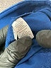 Ann Taylor LOFT Blue Active Pants Size 2 - photo 7