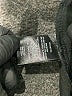 Sanctuary Houndstooth Black Active Pants Size L - photo 6