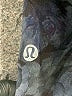 Lululemon Athletica Gray Blue Active Pants Size 2 - photo 7