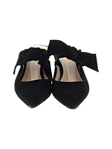 Botkier Flats (view 2)