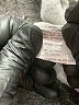 Assorted Brands Green Sweatshirt Size 10 - photo 6