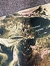 FLX Camo Gold Active Pants Size L - photo 9