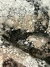 Echo 100% Polyester Gray Tan Poncho One size - photo 7