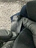 Rag & Bone Blue Active Pants Size 8 - photo 9