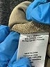 Heartloom Solid Tan Khakis Size M - photo 8