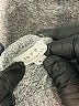 Soft Joie Gray Pullover Sweater Size M - photo 7