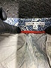 CAbi Print Green Blue Shorts Size 8 - photo 3