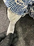 CAbi Print Green Blue Shorts Size 8 - photo 4