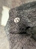 Lululemon Athletica Gray Black Active Pants Size 10 - photo 8
