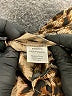 Parker 100% Polyester Brown 3/4 Sleeve Blouse Size S - photo 8