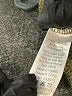 Millibon Tweed Green Casual Pants Size M - photo 7